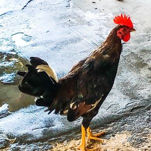 Meet your Posher, Brianna